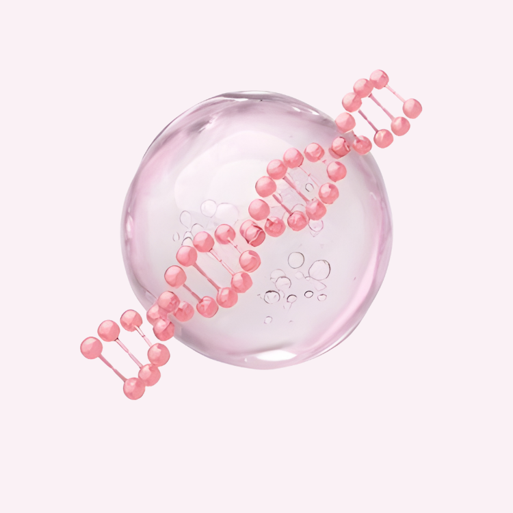 SALMON DNA PDRN